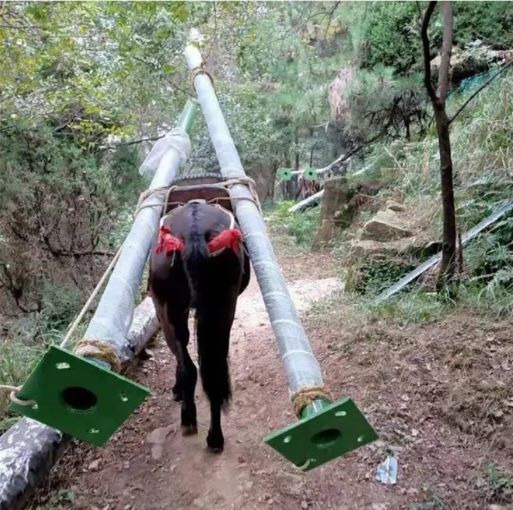上饶骡马运输队