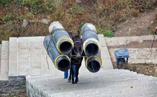 上饶马帮运输